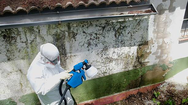 Top rated local Attic Mold Remediation specialists in Pembroke Pines, FL